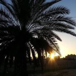 Meet your Posher, Akram